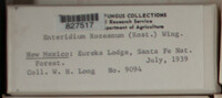 Image Associated With the Occurence